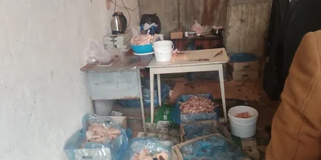 В Гяндже пресечена попытка поставки непригодного куриного мяса в донерные