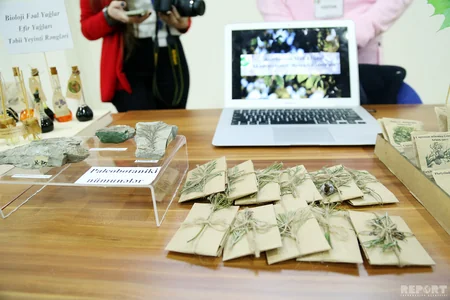 Bakı İstedadlar Təhsil Kompleksində bilik sərgisi keçirilib