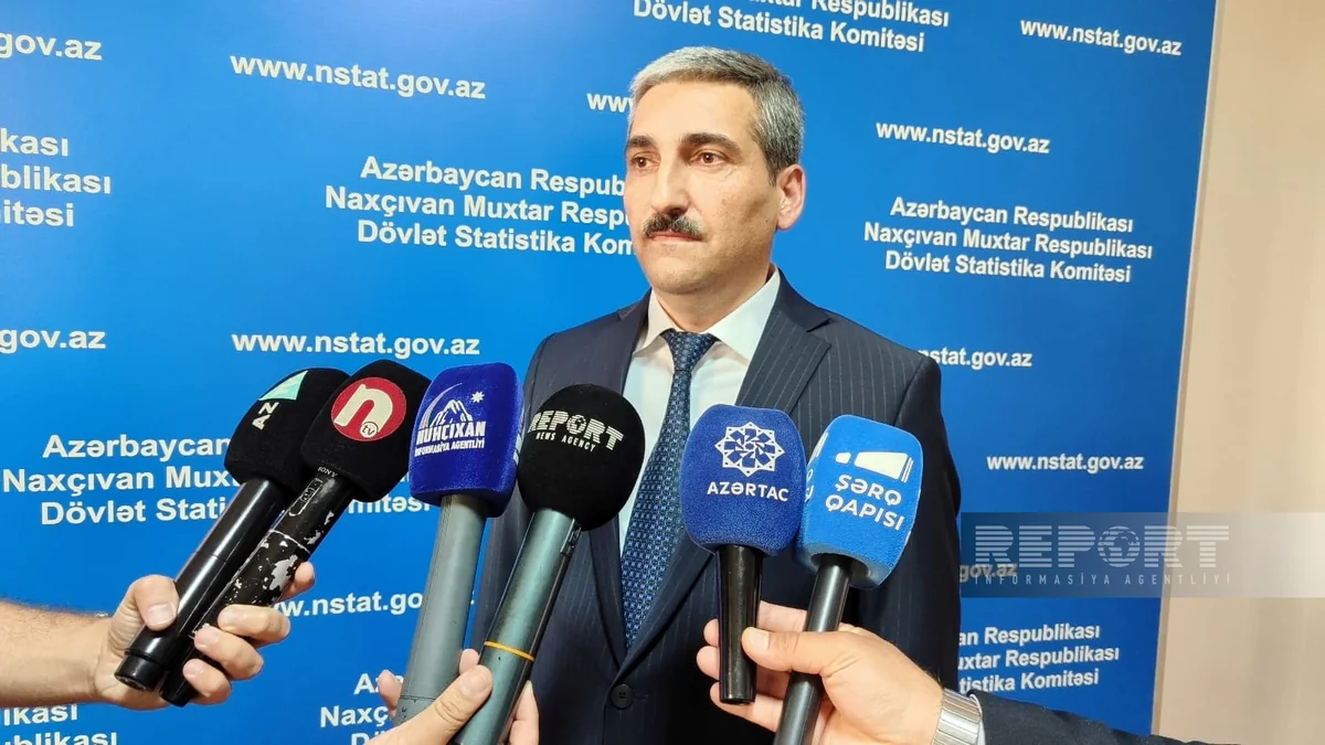 Son 27 ayda Naxçıvanda 3 min 492 yeni iş yeri açılıb