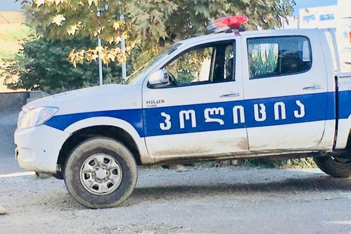 В Грузии произошла массовая драка между азербайджанцами и грузинами