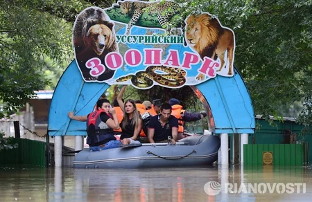 ​Спасатели возобновили эвакуацию животных из зоопарка Уссурийска - ВИДЕО