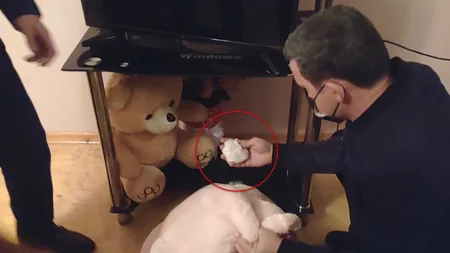 Gəncədə silsilə oğurluq etməkdə şübhəli bilinən azyaşlılar saxlanılıb