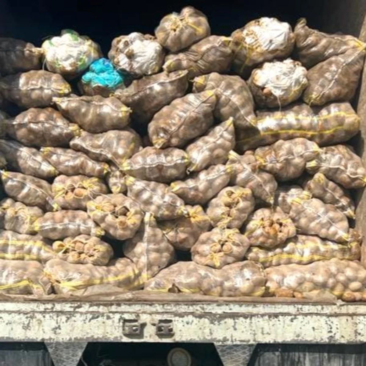 Rusiya və İrandan Azərbaycana gətirilən kartofda zərərli orqanizm aşkarlanıb