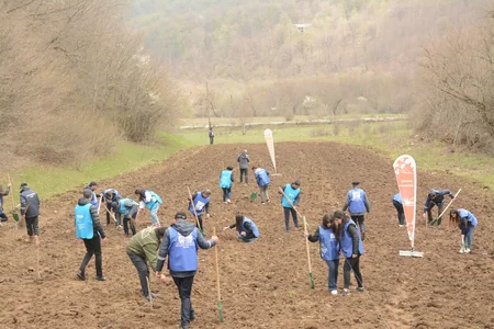 “Yaşıl Marafon” çərçivəsində Qubada meşəsalma aksiyası keçirilib