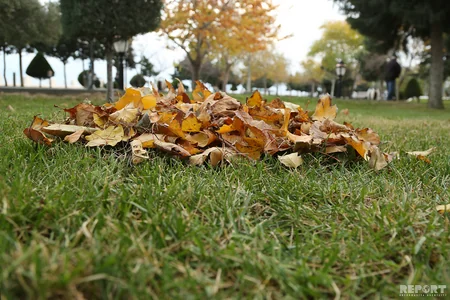 Ucuz çayxanalar da var... - BULVARDAN REPORTAJ