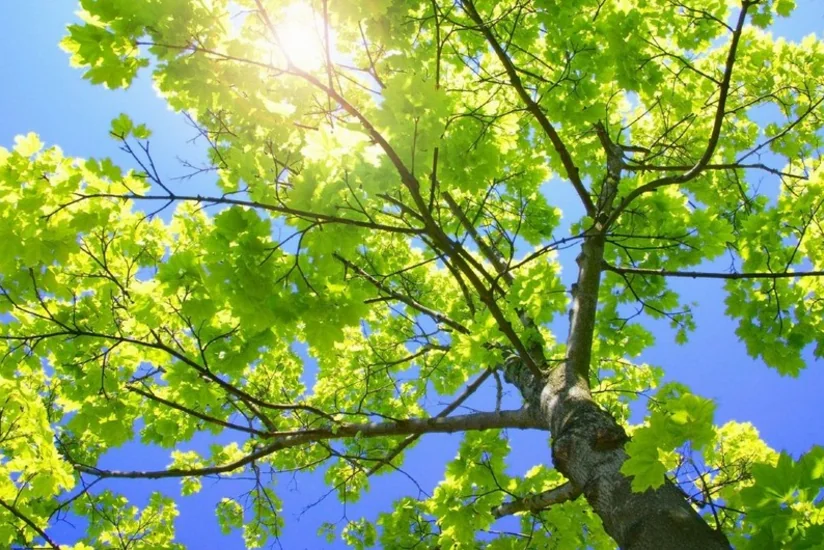 Azerbaijan weather forecast for September 13