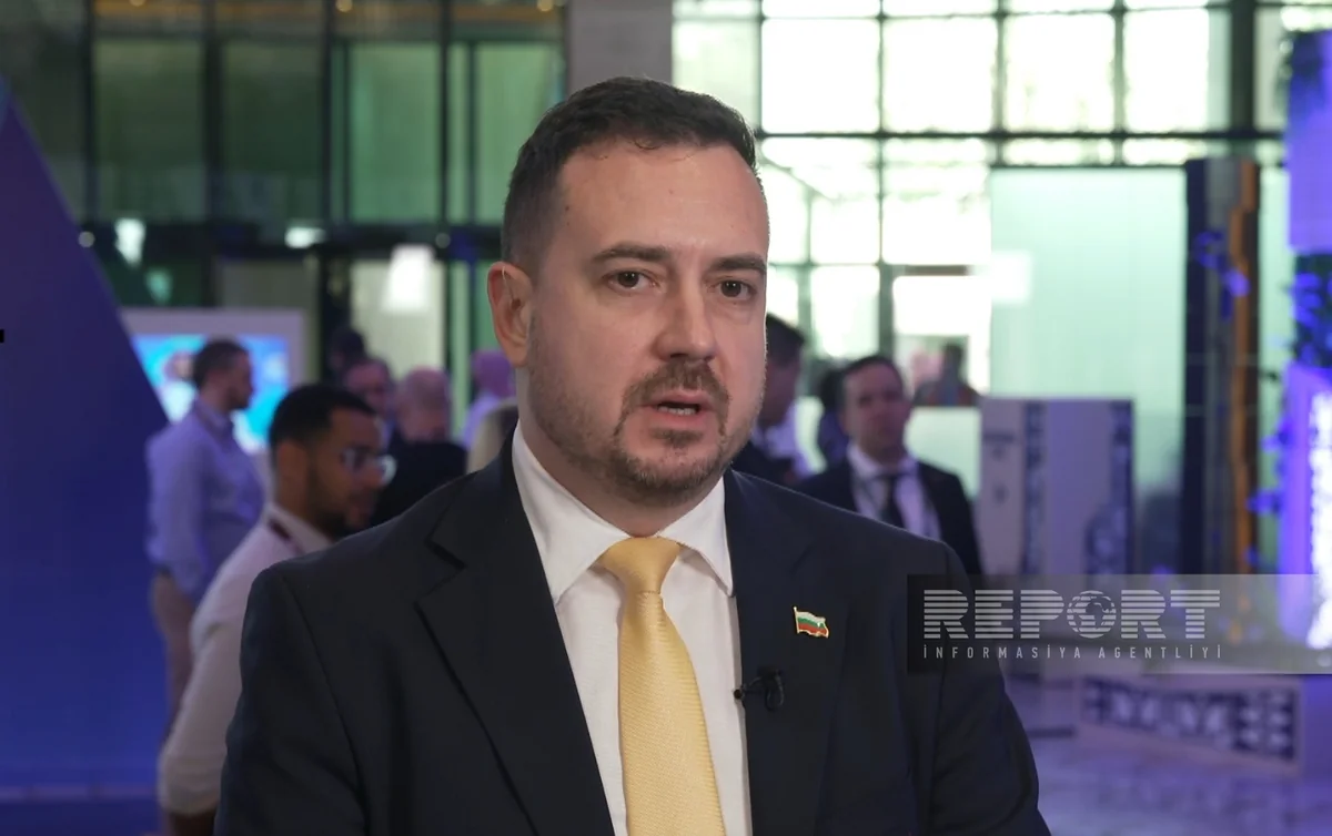 Deputy Minister: Bulgaria's accession to Schengen opens new economic perspectives for Azerbaijan - INTERVIEW