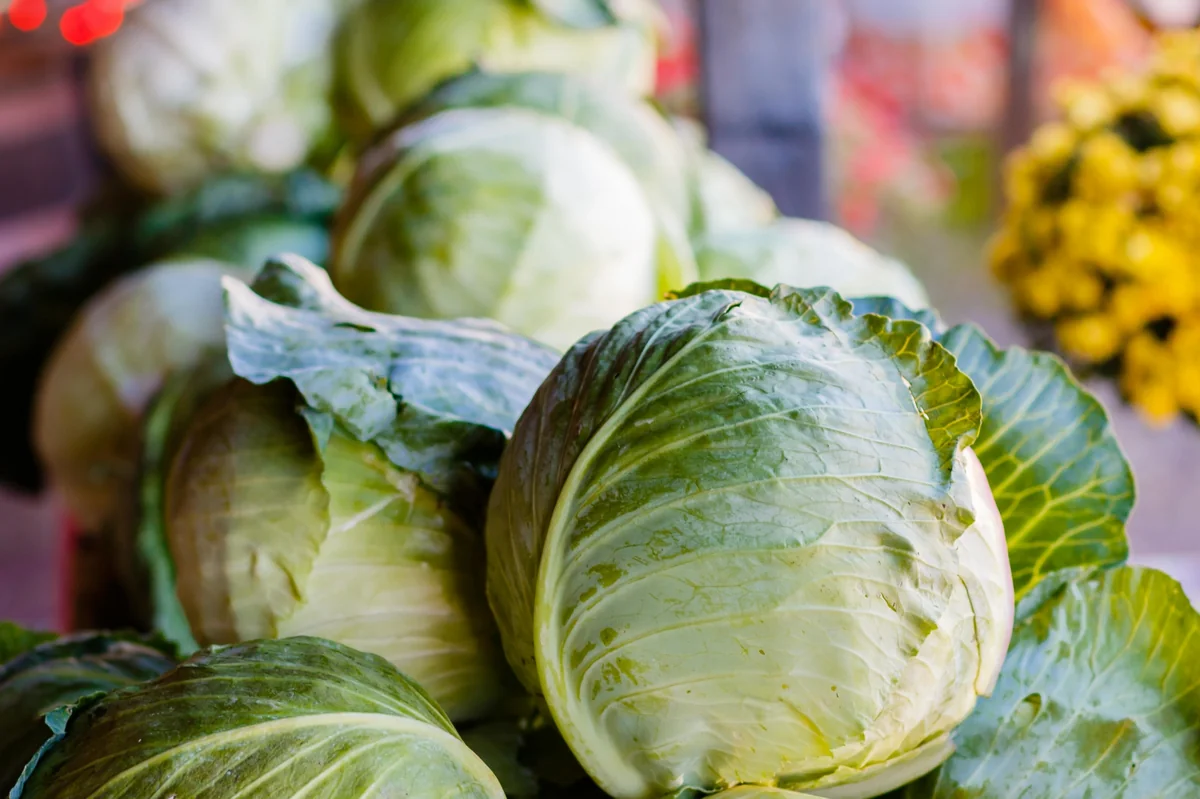 Azerbaijan’s cabbage exports to Ukraine soar