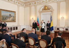 President: Azerbaijan interested in investing in Bosnia and Herzegovina