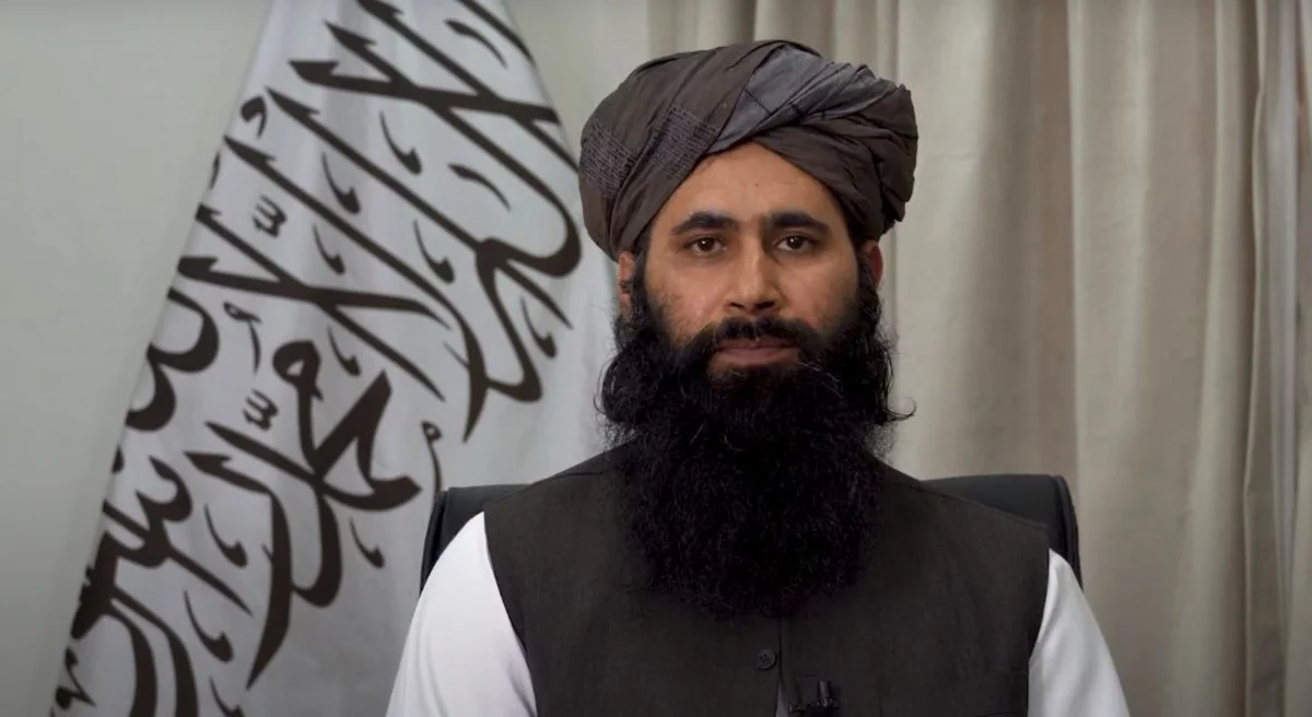 Taliban Almaniya ilə əməkdaşlıq etmək istəyir
