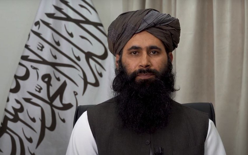 Taliban Almaniya ilə əməkdaşlıq etmək istəyir