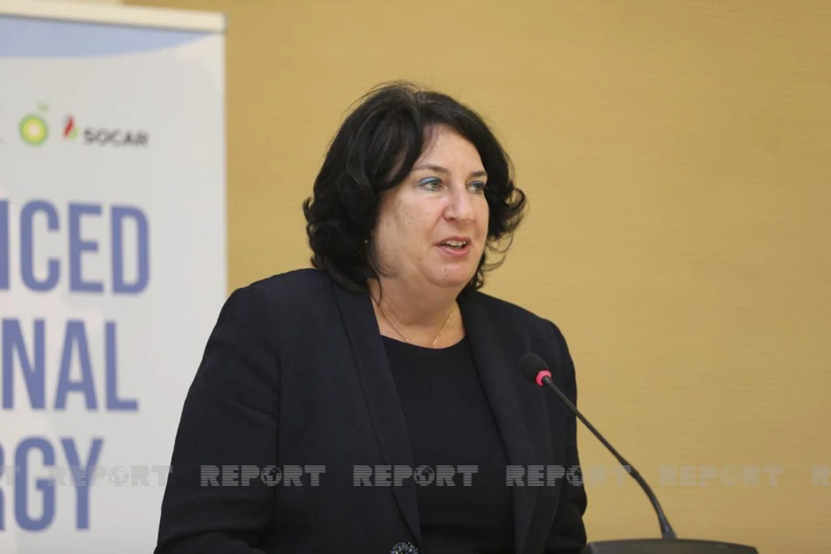 Brenda Shaffer: US stands for territorial integrity, but not for Azerbaijan?