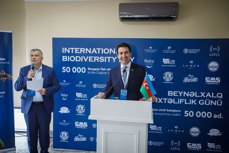 50,000 sturgeon released into the Caspian Sea by Azerbaijan fish farm to mark International Day for Biological Diversity
