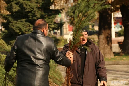 Gəncədə “Hər ailə ağac əksin” aksiyası keçirilib - VİDEO - FOTO - YENİLƏNİB