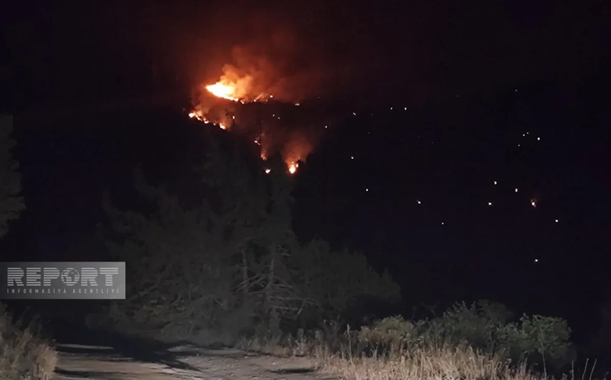 Ağdərədə meşə massivində yanğın başlayıb