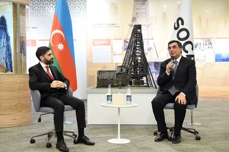 SOCAR-ın prezidenti Gənc İstedadlar Proqramına seçilmiş gənclərlə görüşüb