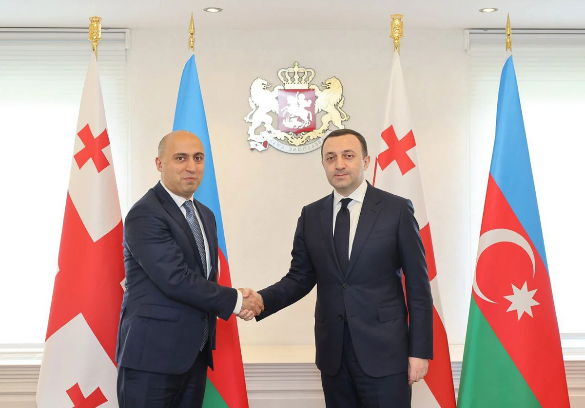 Azərbaycanla Gürcüstan arasında ali təhsil və elm sahələrində əməkdaşlıq müzakirə edilib