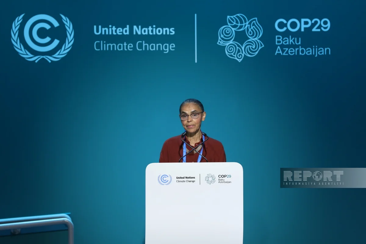 Braziliyalı nazir: Son iki ildə meşələrin qırılmasını 45,7 % azaltmağa nail olmuşuq