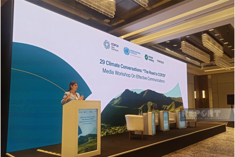 Təşkilat Komitəsi: COP29-da qəbul olunan qərarlar bütün sahələri əhatə edəcək