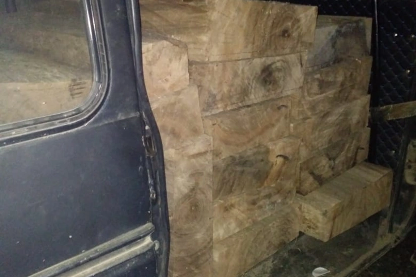 Meşə materiallarını qanunsuz daşıyan şəxslər müəyyən edilib, iş prokurorluğa göndərilib