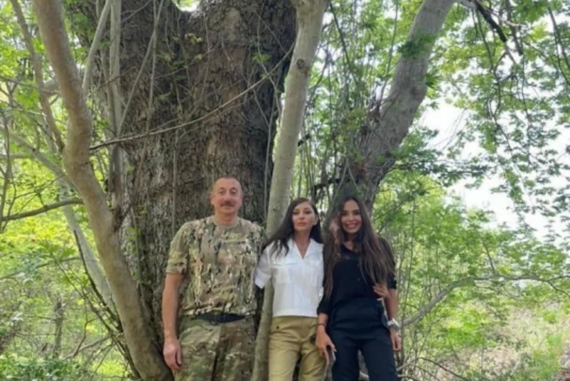 Мехрибан Алиева поделилась публикациями из Зангиланского района в Instagram 