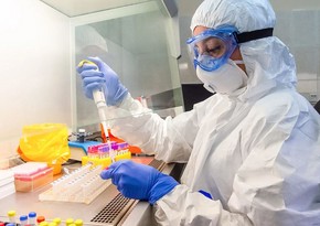 Azerbaijan reports 319 new coronavirus cases: Task Force