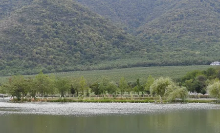 Dövlət başçısı Balakəndə “Bal meyvə” bağçılıq təsərrüfatı ilə tanış olub