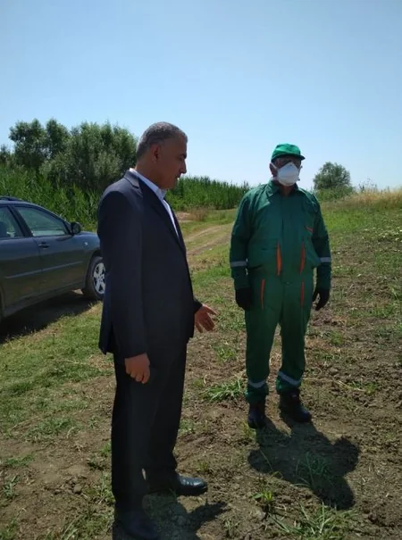 Dövlət Fitosanitar Nəzarəti Xidmətinin rəhbəri Tərtərin zəhərlənmə baş vermiş pambıq sahəsində olub