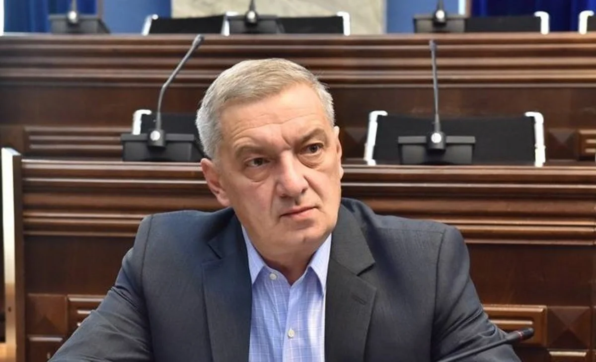 Вице-спикер: Стратегическое партнерство между Грузией и Азербайджаном обладает особым значением для ведущих стран мира