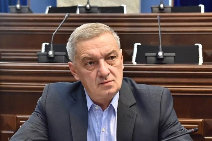 Вице-спикер: Стратегическое партнерство между Грузией и Азербайджаном обладает особым значением для ведущих стран мира