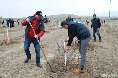 Report News Agency takes part in tree planting campaign - VIDEO