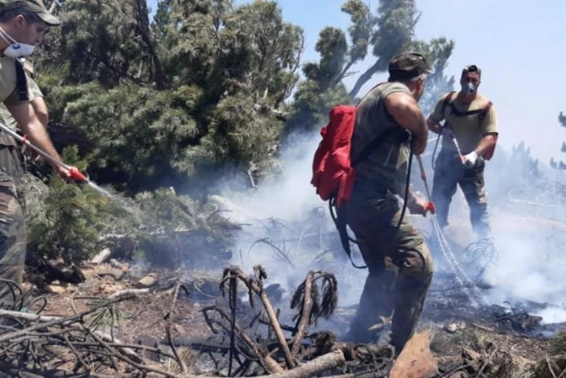 Azerbaijan, Turkiye to hold joint exercises to fight wildfires