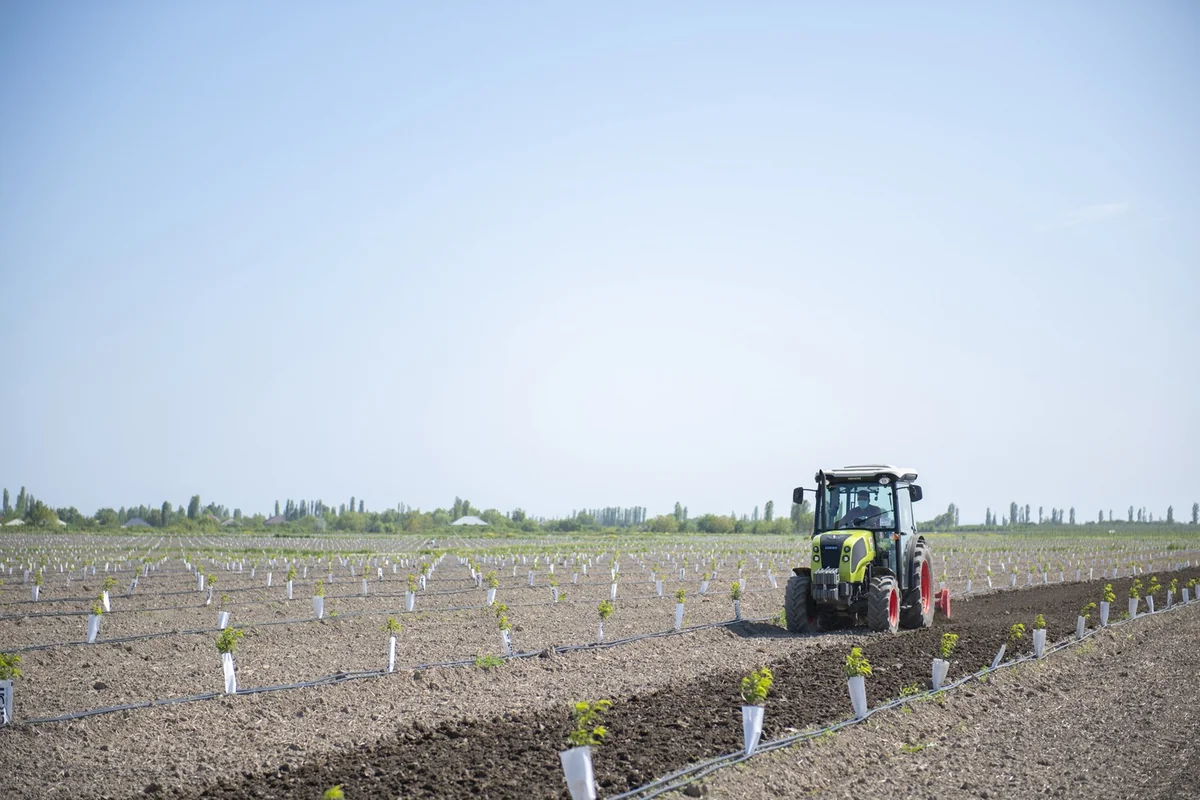 Azərbaycanda Ağıllı bağda günəş panellərindən istifadə edilir