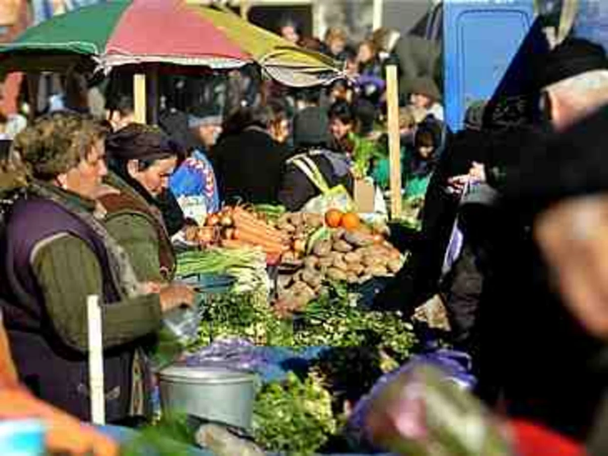 Vosmoy bazarı Dövlət Komitəsini məhkəməyə verib