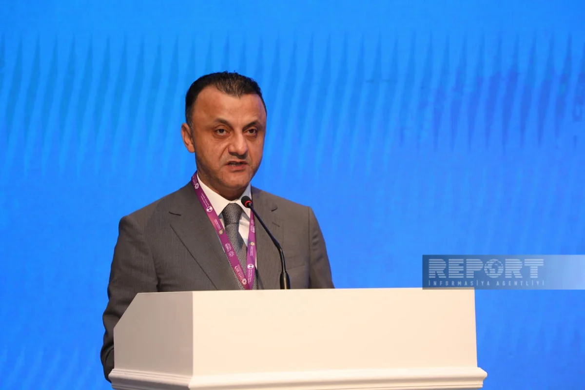Исполнительный директор TƏBİB: Подготовлены планы действий для совершенствования услуг по ряду заболеваний