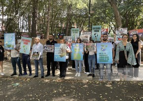 Azerbaijanis hold protest in front of UN office in Georgia