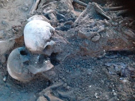 Gürcüstanda kütləvi məzarlıq aşkar olunub - FOTO