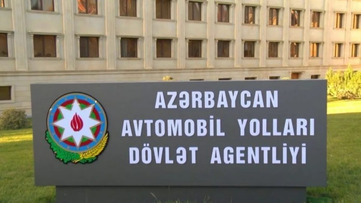 Nazirlik ağac kəsintisinə görə Dövlət Agentliyini cərimələyib