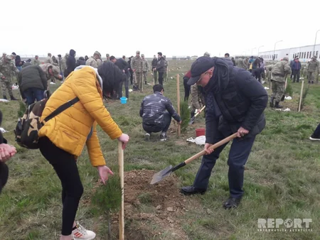 Müdafiə və Təhsil nazirlikləri Aprel zəfərindən ötən hər günə bir ağac əkək” devizi altında tədbir keçirib