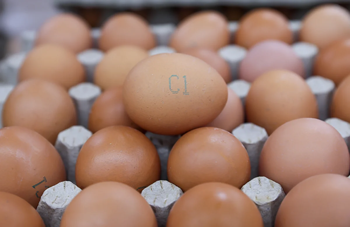 Цены на яйца в США за полгода взлетели на 35%