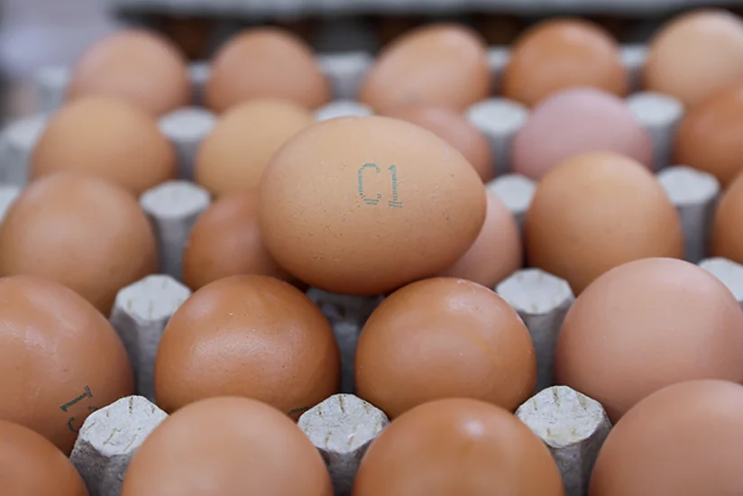 Цены на яйца в США за полгода взлетели на 35%