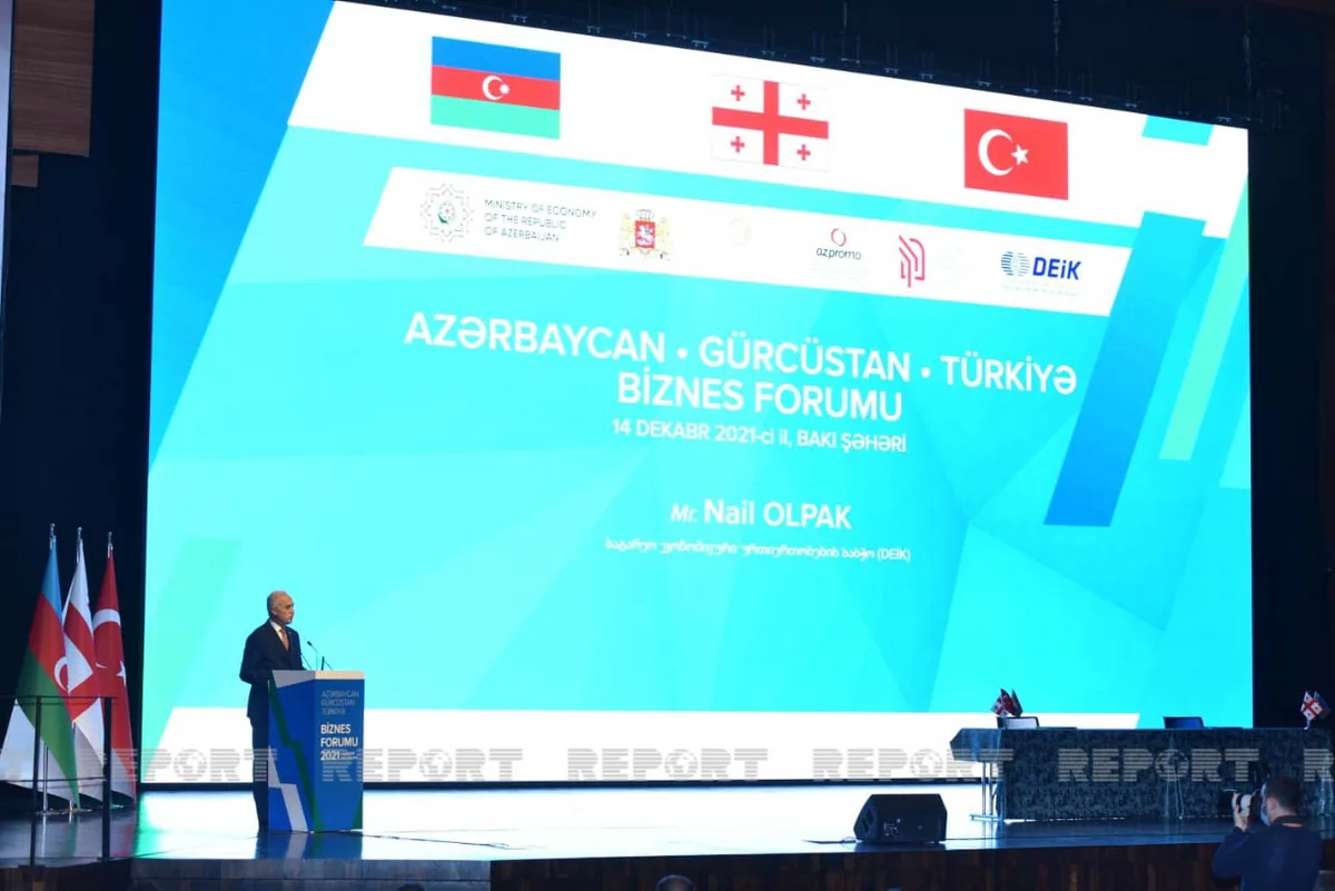 Gürcüstan rəsmisi: “Pandemiyaya baxmayaraq Azərbaycan və Türkiyə ilə ticarət dövriyyəmiz artıb”