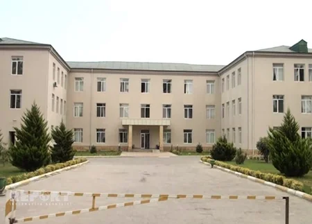 Nabranda baş verən kütləvi davada 3 nəfər bıçaqlanıb - VİDEO