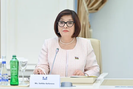 Participants of joint meeting of ASOSAI and ARABOSAI to visit Shusha
