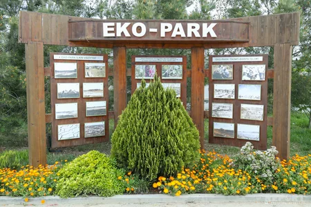 BMT SOCAR-a 4 hibrid enerji sərfəli avtomobil verib