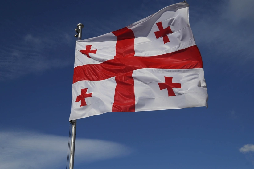 Gürcüstan BOEM-ə sərmayə yatırılması prosedurlarını sadələşdirib