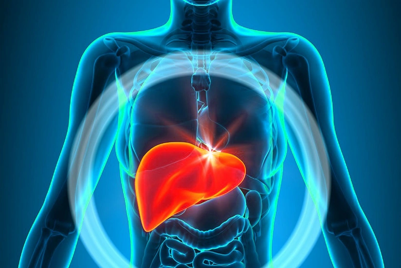 Scientists reveal three liver destructive habits