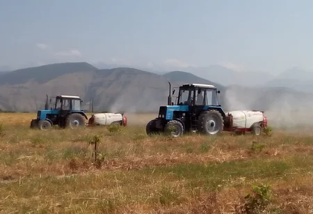 Azərbaycana İtaliya çəyirtkəsinin miqrasiyasının qarşısı alınıb