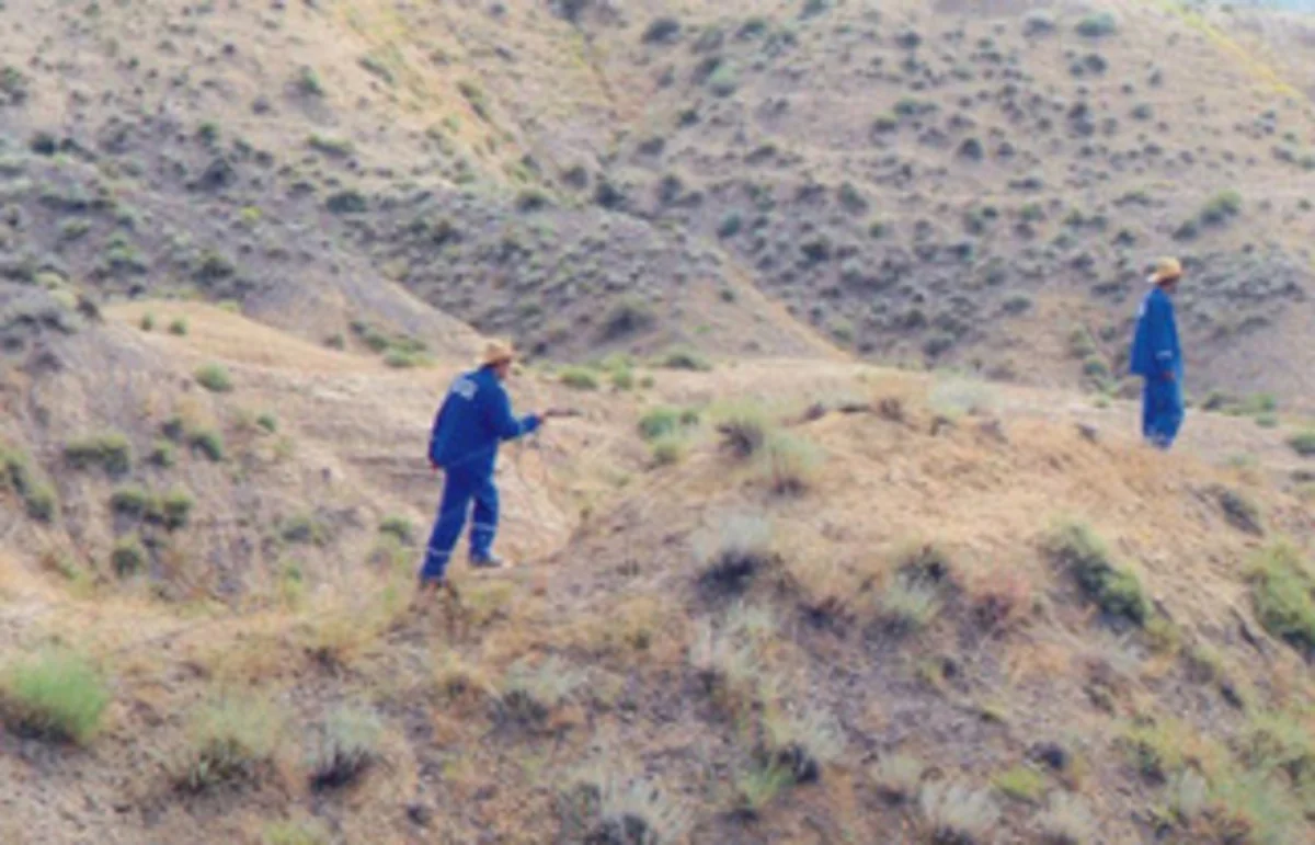 Zərdab-Şıxbağı-Qışlaq neft sahəsində çöl işləri aparılıb