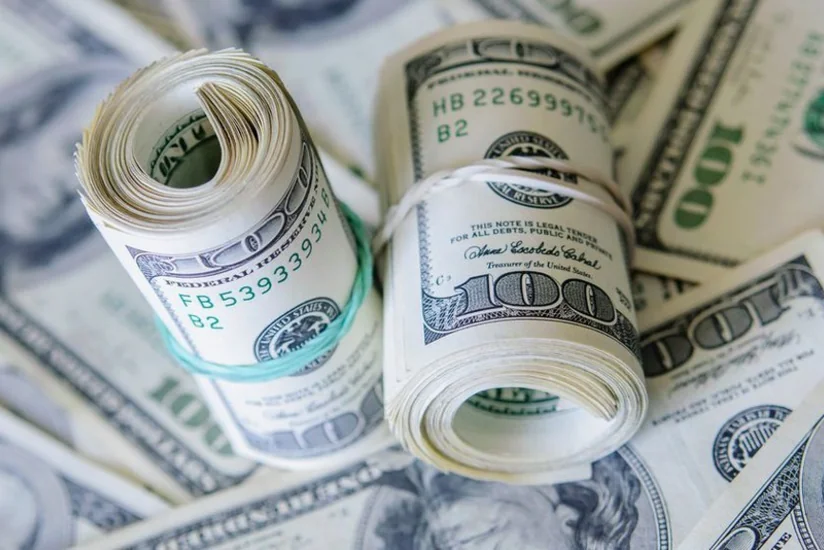 Goranboyda sürücü və mühafizəçi işlədikləri şirkətdən 17 min dollar oğurlayıb - YENİLƏNİB